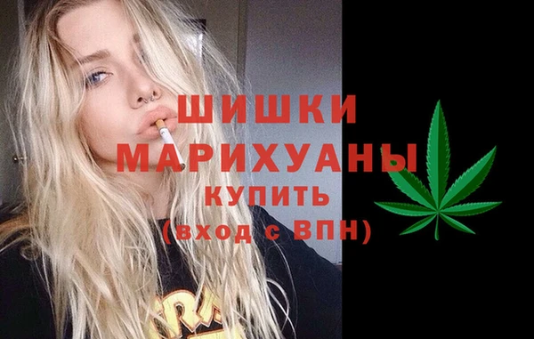 mdpv Ельня