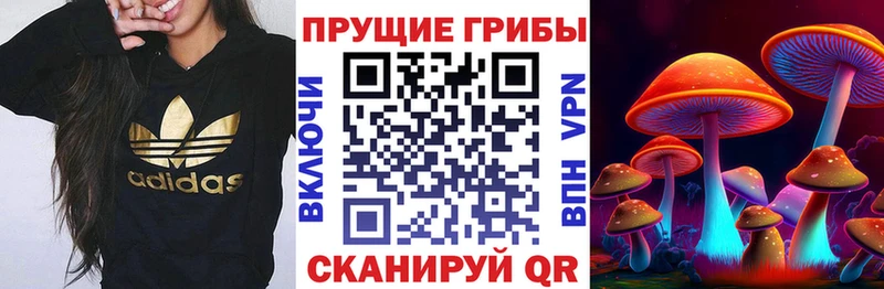 Галлюциногенные грибы ЛСД Луга
